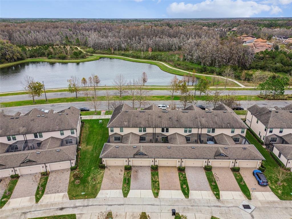 12616 Rangeland Boulevard Odessa, FL 33556 - Photo 49 of 54