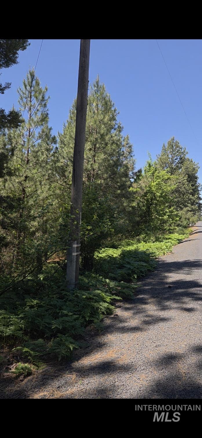 Four Four Mile Road Viola, ID 83872 - Photo 25 of 30
