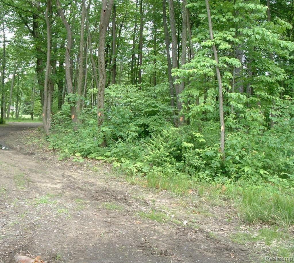 20710 Haggerty Road Belleville, MI 48111 - Photo 1 of 1 DSCF1728.jpg