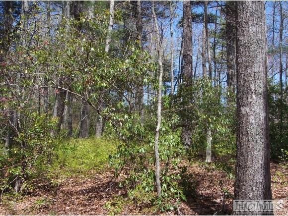 Lot 2-rev Panther Ridge Road Lake Toxaway, NC 28747 - Photo 2 of 5 Gallery Image 2