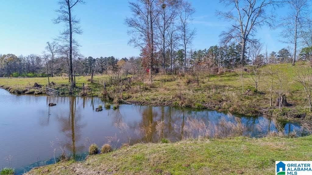 348 County Road 370, Unit 1 Clanton, AL 35045 - Photo 8 of 10