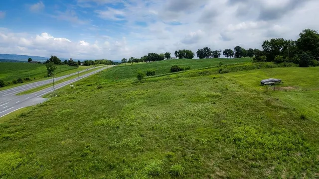 a view of a big yard with plants and a large tree