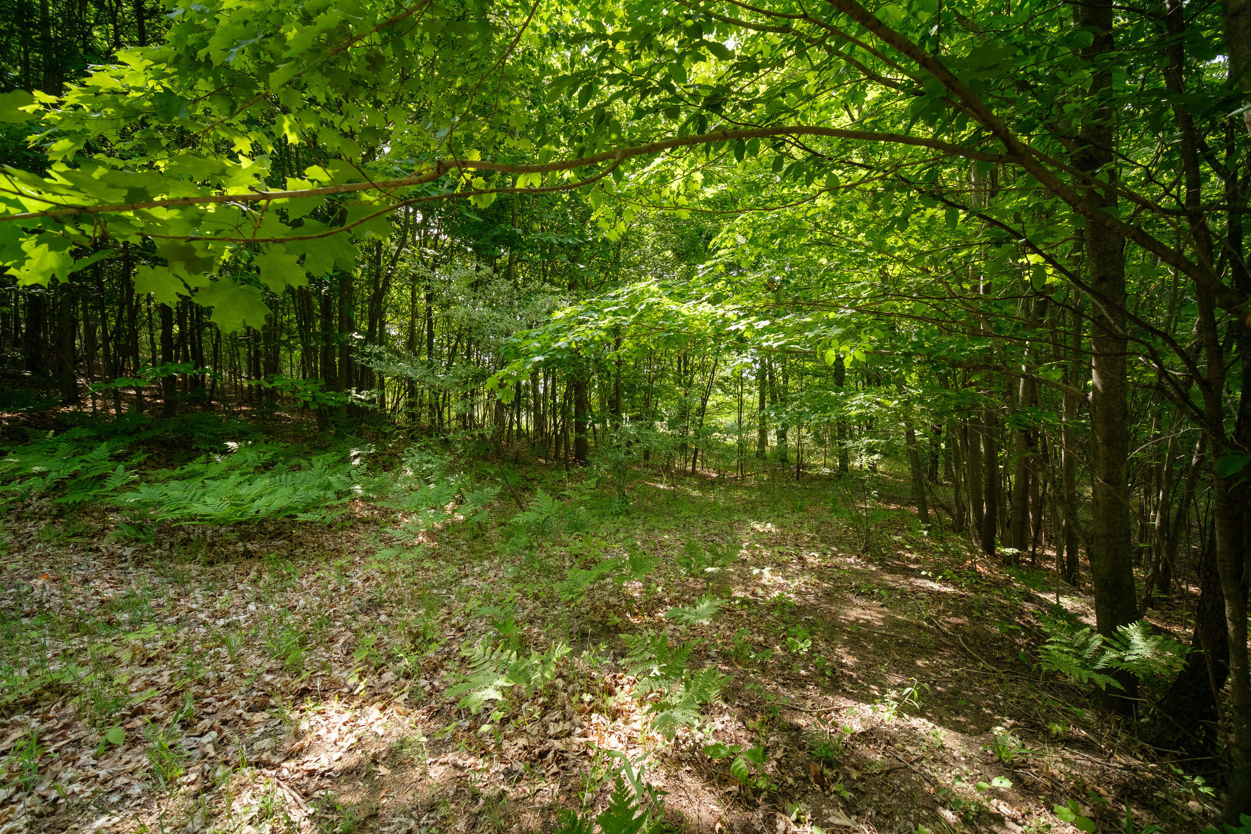 Arcadia Ridge Drive Arcadia, MI 49613 - Photo 1 of 41 Gorgeous rolling acreage