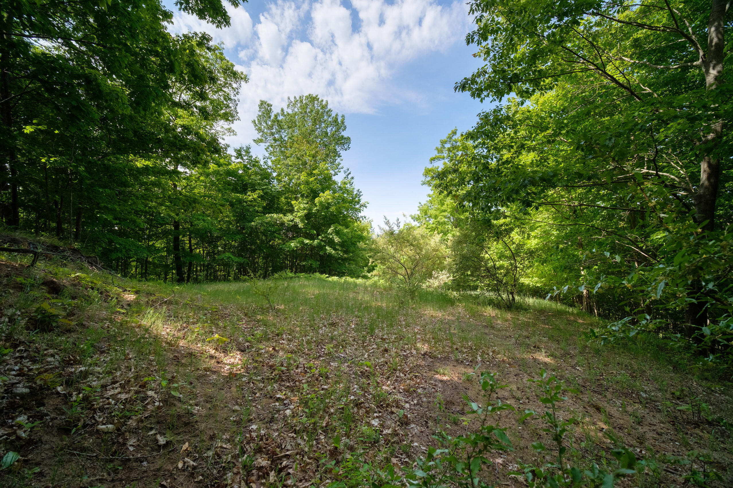 Arcadia Ridge Drive Arcadia, MI 49613 - Photo 21 of 41 Additional Photo