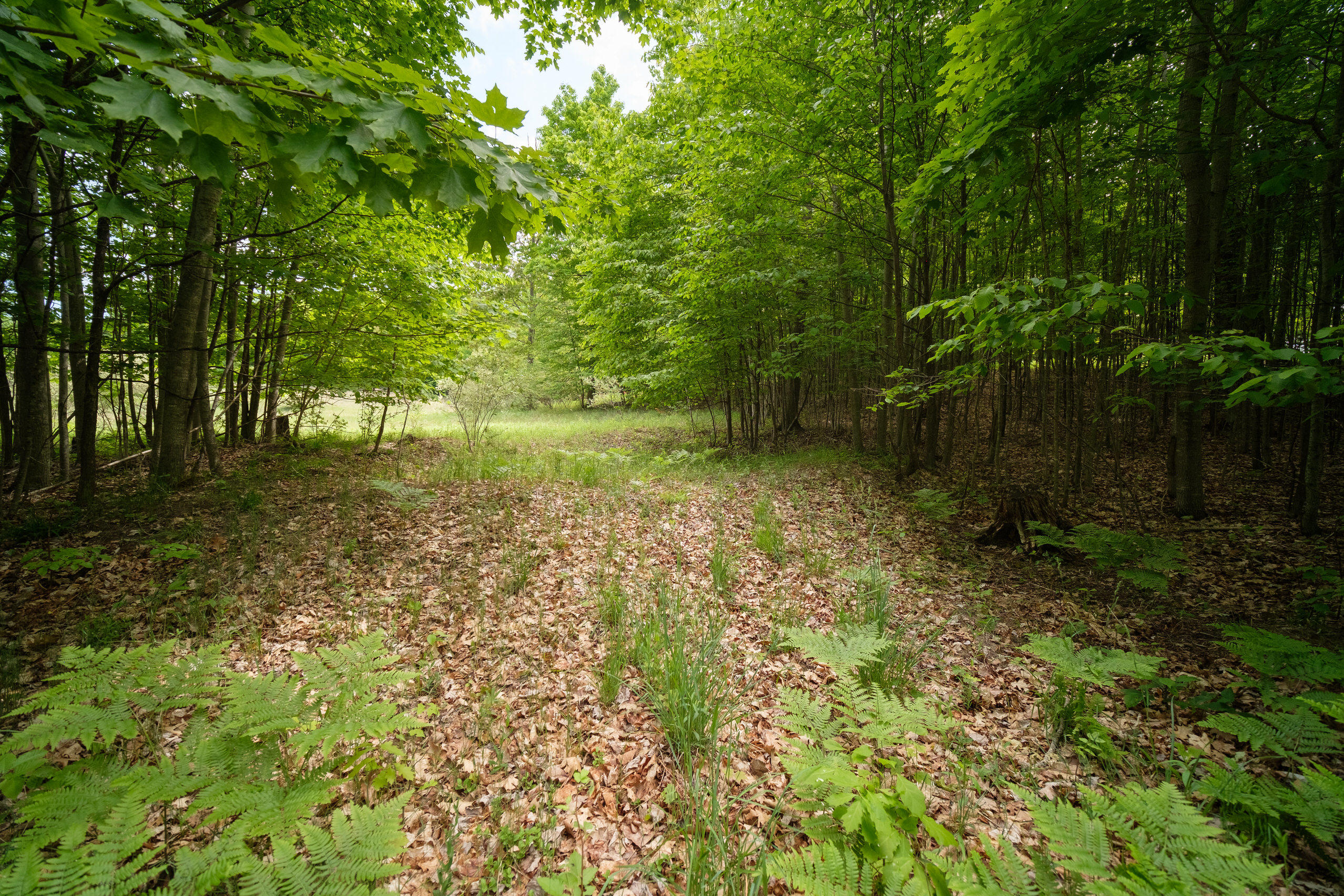 Arcadia Ridge Drive Arcadia, MI 49613 - Photo 33 of 41 Additional Photo