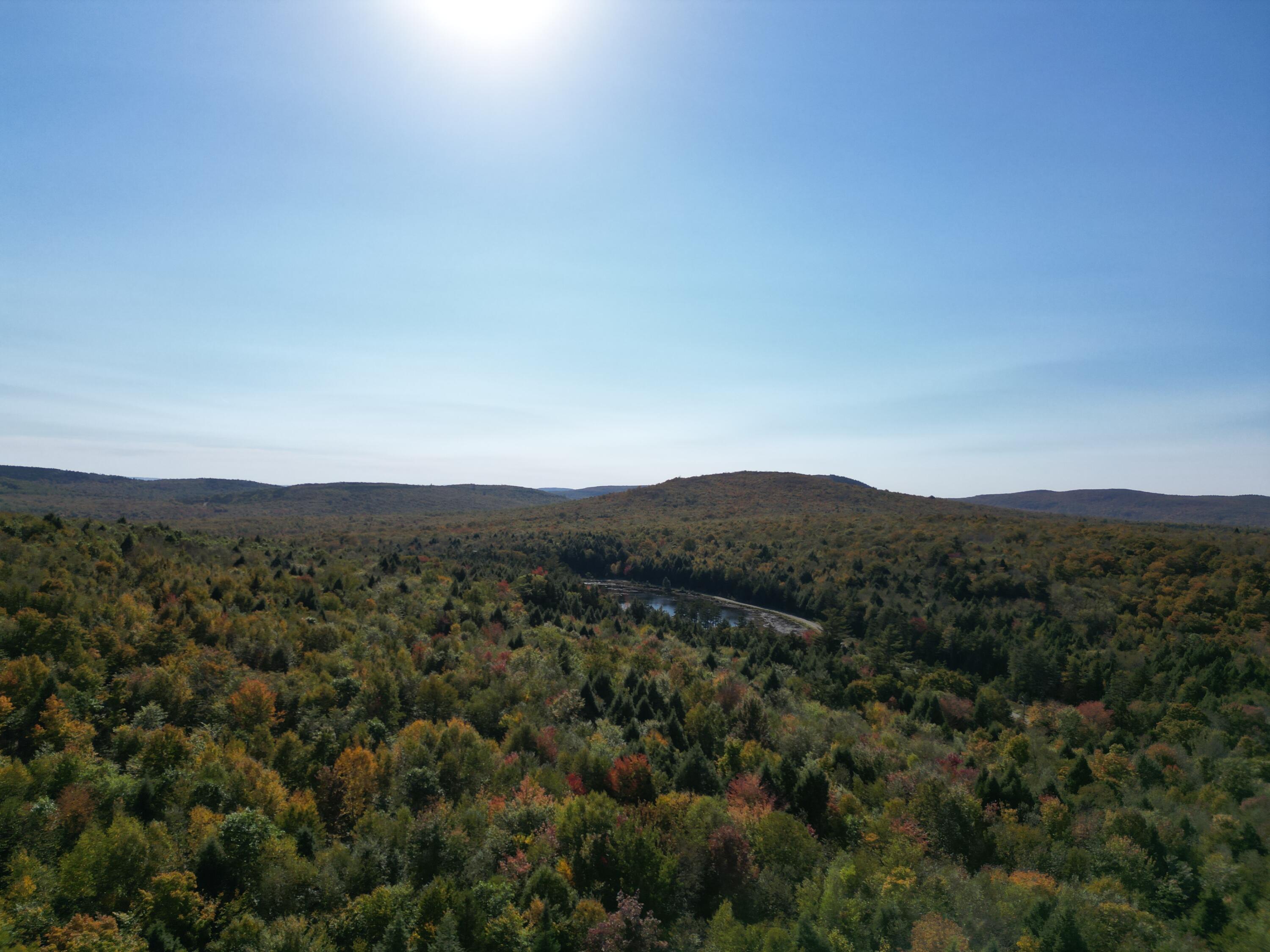 Off Dipper Pond Road Carroll Plt, ME 04487 - Photo 29 of 51 DJI_0004