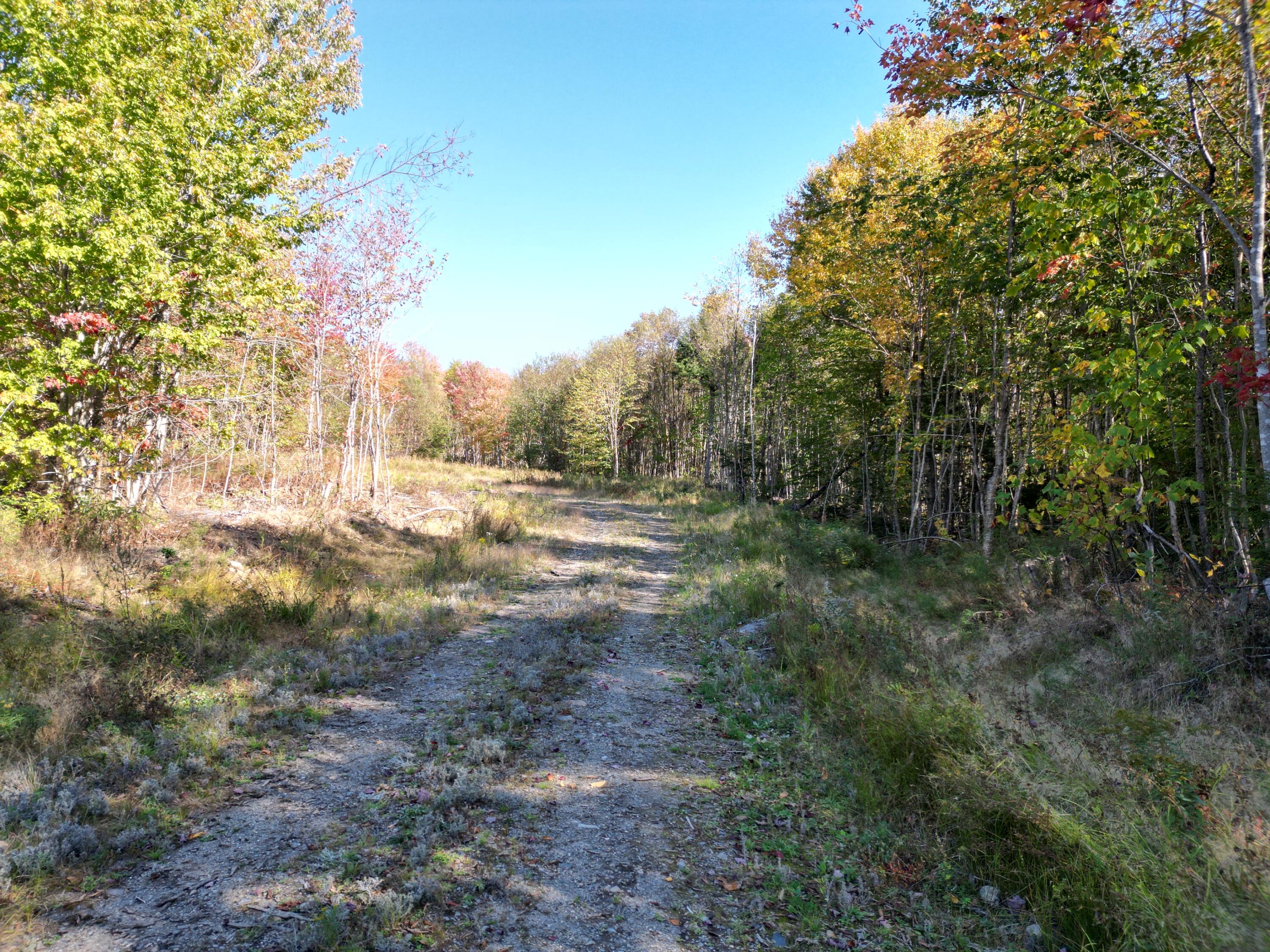 Off Dipper Pond Road Carroll Plt, ME 04487 - Photo 38 of 51 DJI_0994