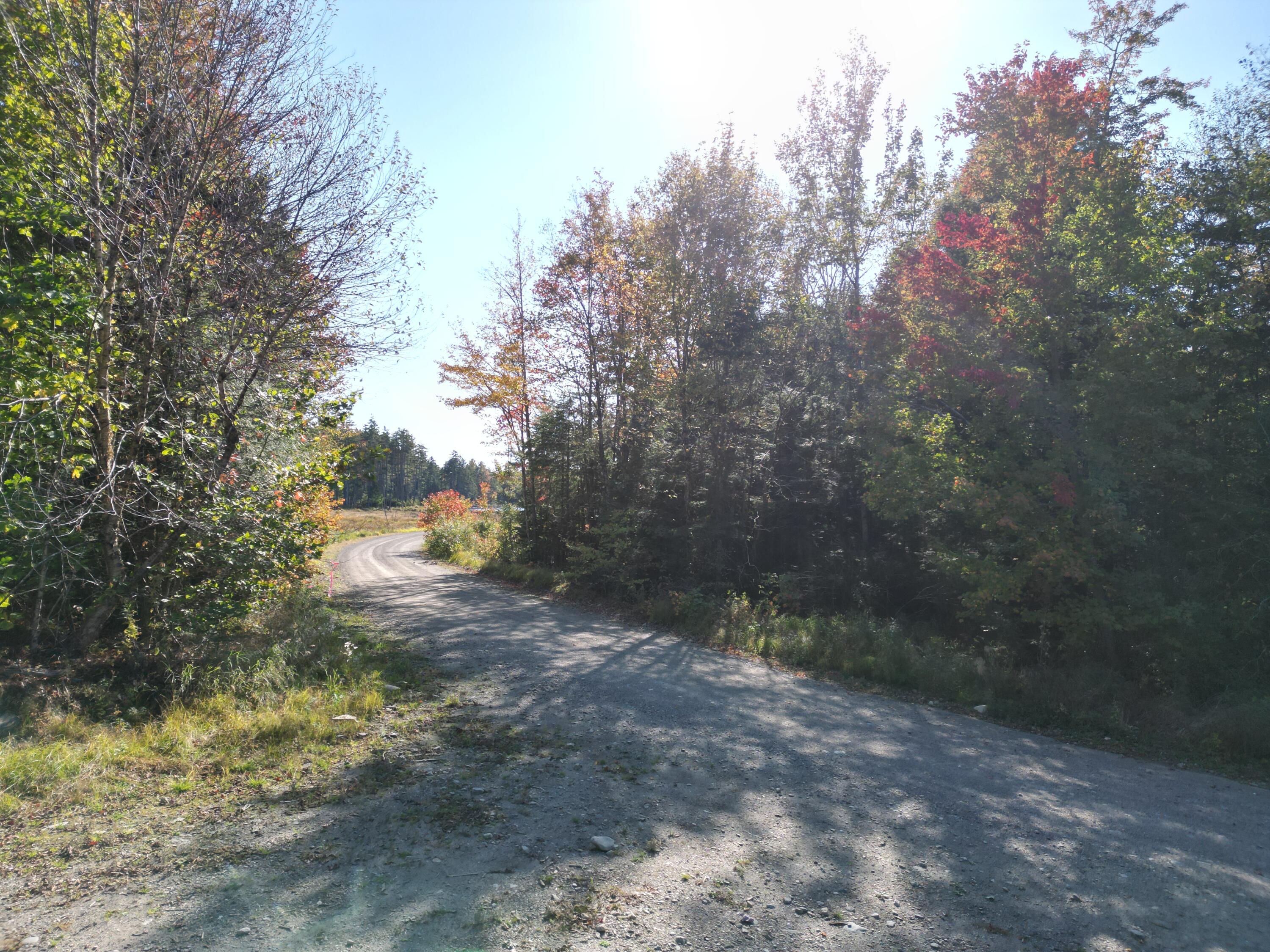 Off Dipper Pond Road Carroll Plt, ME 04487 - Photo 44 of 51 DJI_0995