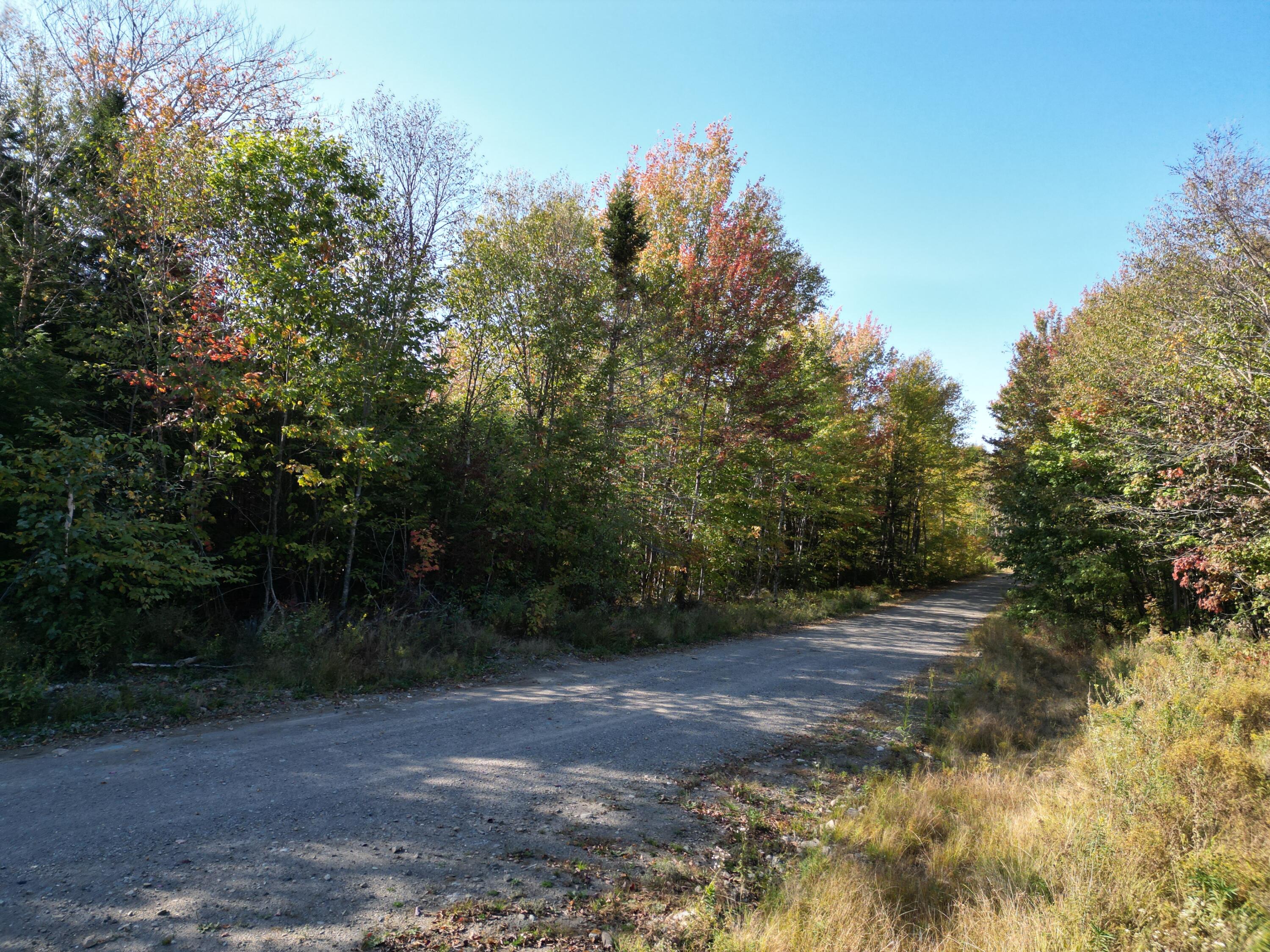 Off Dipper Pond Road Carroll Plt, ME 04487 - Photo 45 of 51 DJI_0996