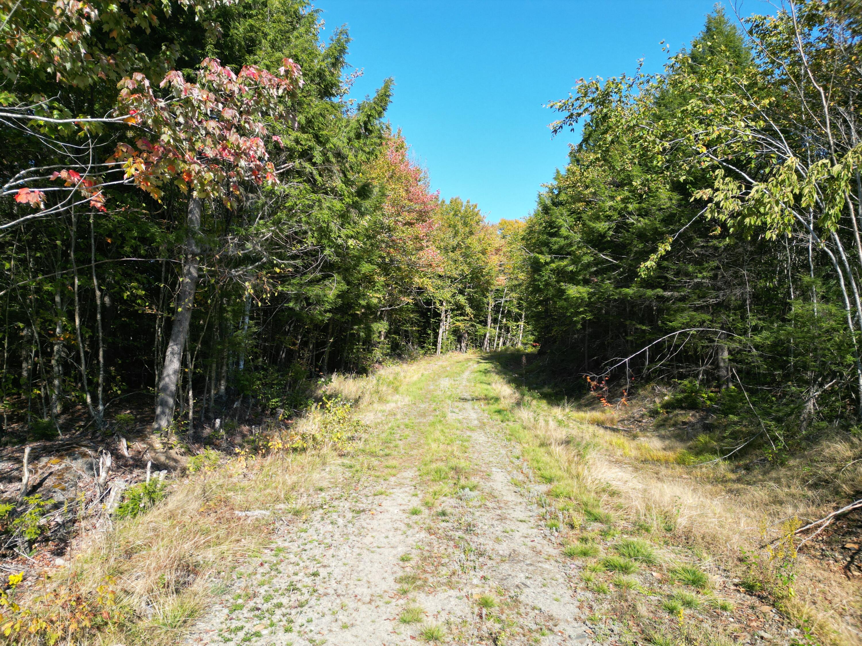 Off Dipper Pond Road Carroll Plt, ME 04487 - Photo 48 of 51 DJI_0999