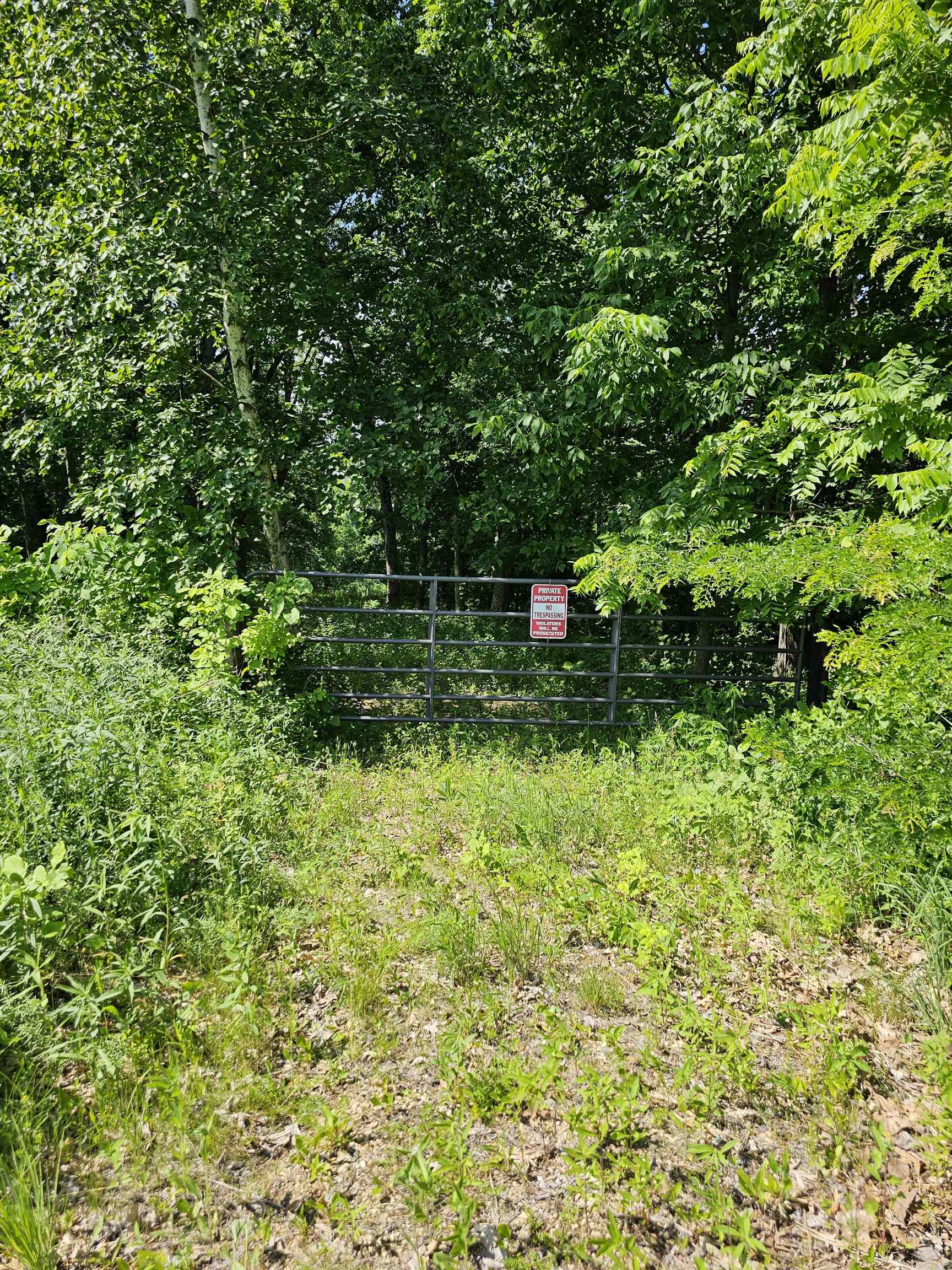 13061 Walnut Blf Road Bagley, WI 53801 - Photo 5 of 18