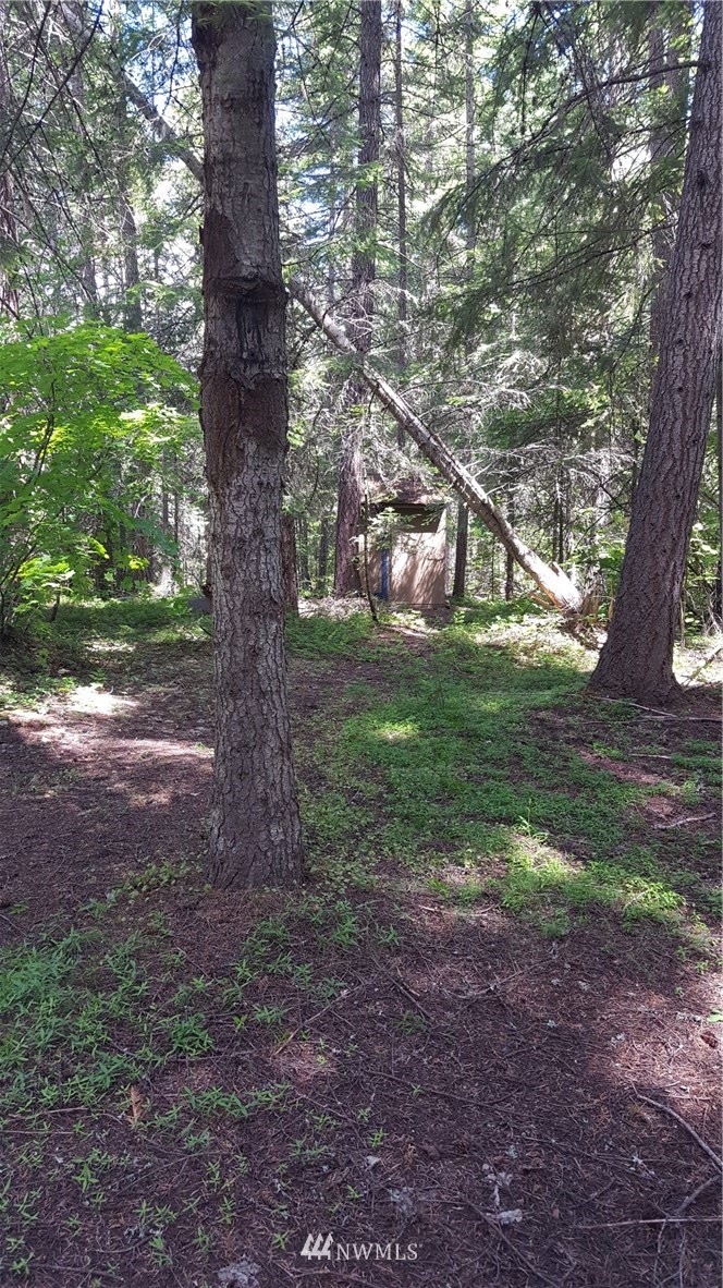 -xxx South Cle Elum Ridge Road Cle Elum, WA 98922 - Photo 23 of 25 Gallery Image 23