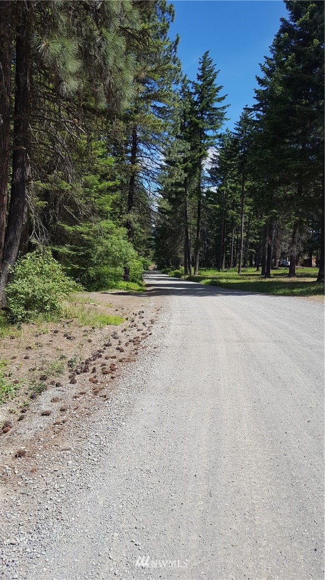 -xxx South Cle Elum Ridge Road Cle Elum, WA 98922 - Photo 4 of 25 Gallery Image 4