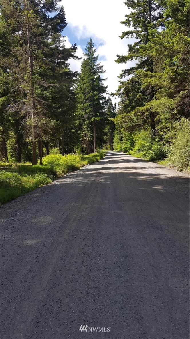 -xxx South Cle Elum Ridge Road Cle Elum, WA 98922 - Photo 5 of 25 Gallery Image 5