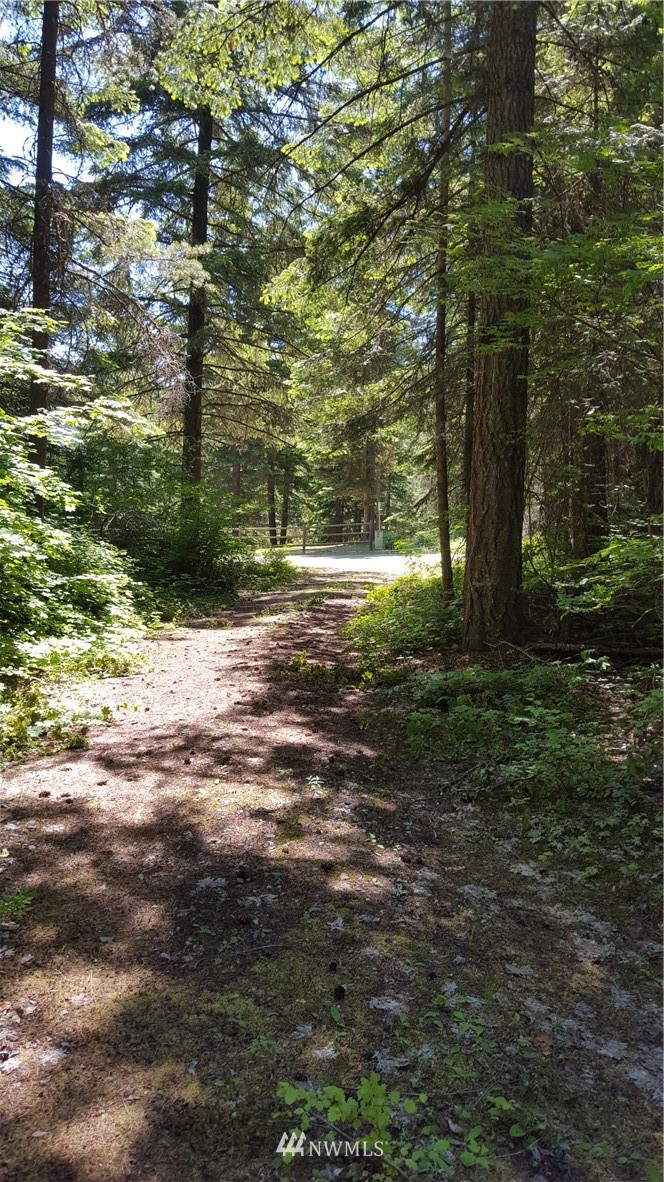 -xxx South Cle Elum Ridge Road Cle Elum, WA 98922 - Photo 6 of 25 Gallery Image 6
