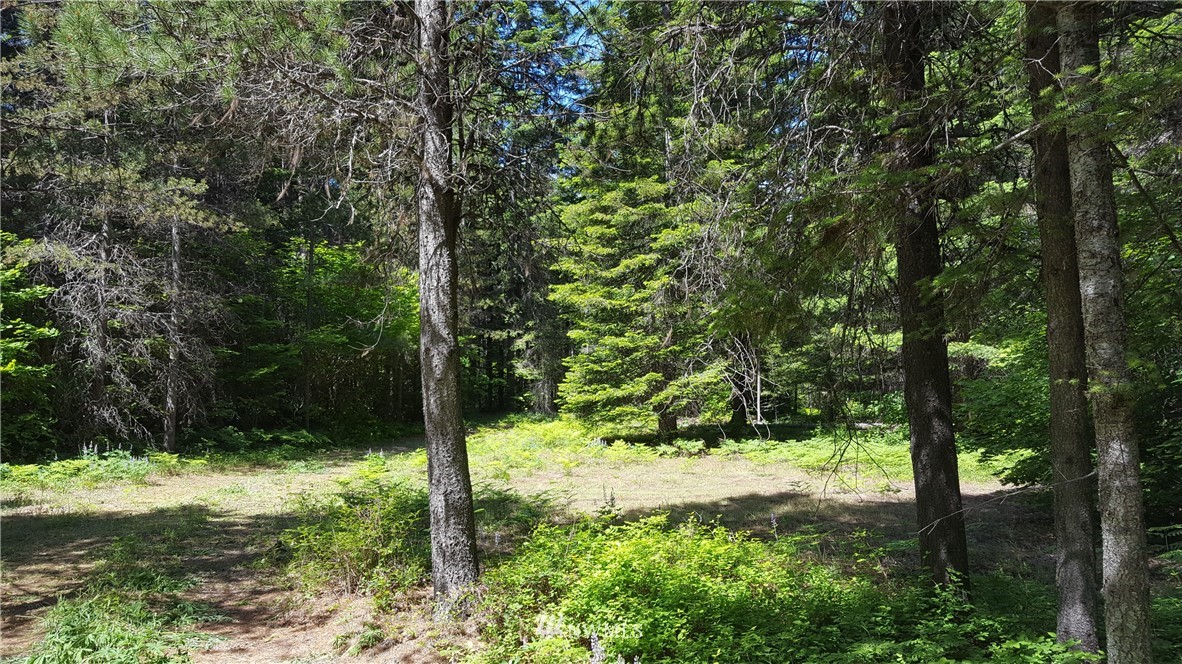 -xxx South Cle Elum Ridge Road Cle Elum, WA 98922 - Photo 8 of 25 Gallery Image 8