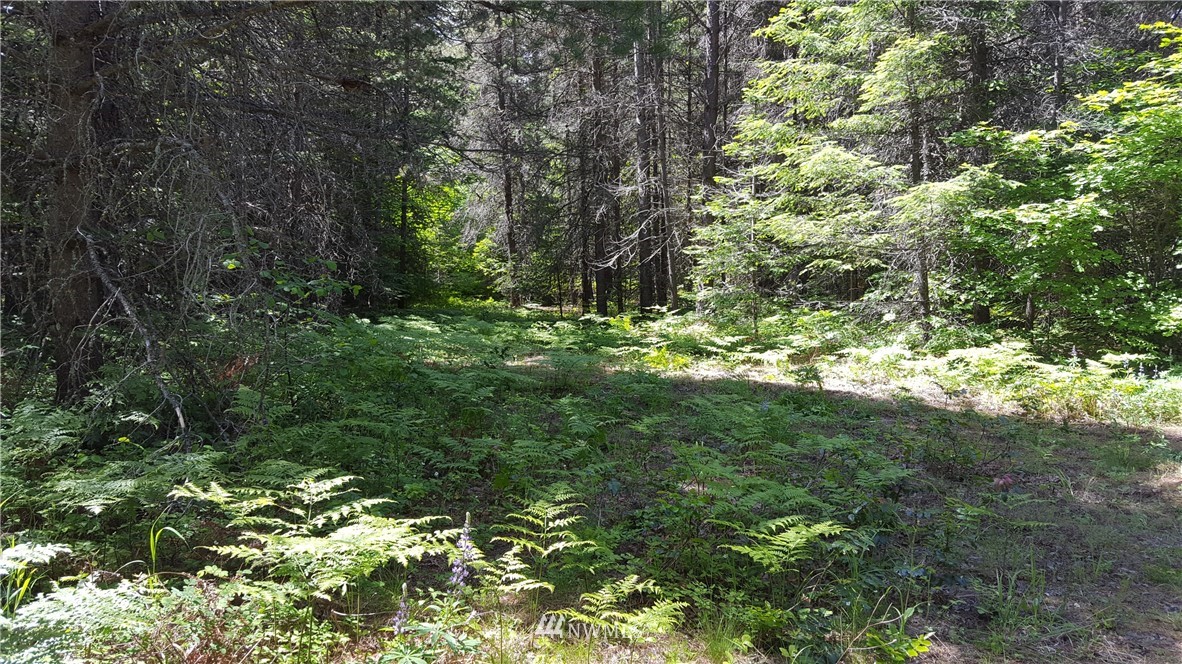-xxx South Cle Elum Ridge Road Cle Elum, WA 98922 - Photo 10 of 25 Gallery Image 10