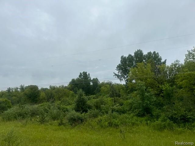 10.63-acre Lapeer Road Davison, MI 48423 - Photo 6 of 6