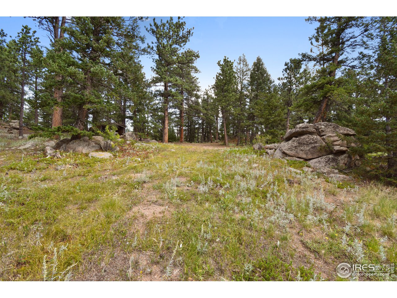 520 Bramer Road Ward, CO 80481 - Photo 1 of 25 Gallery Image 1