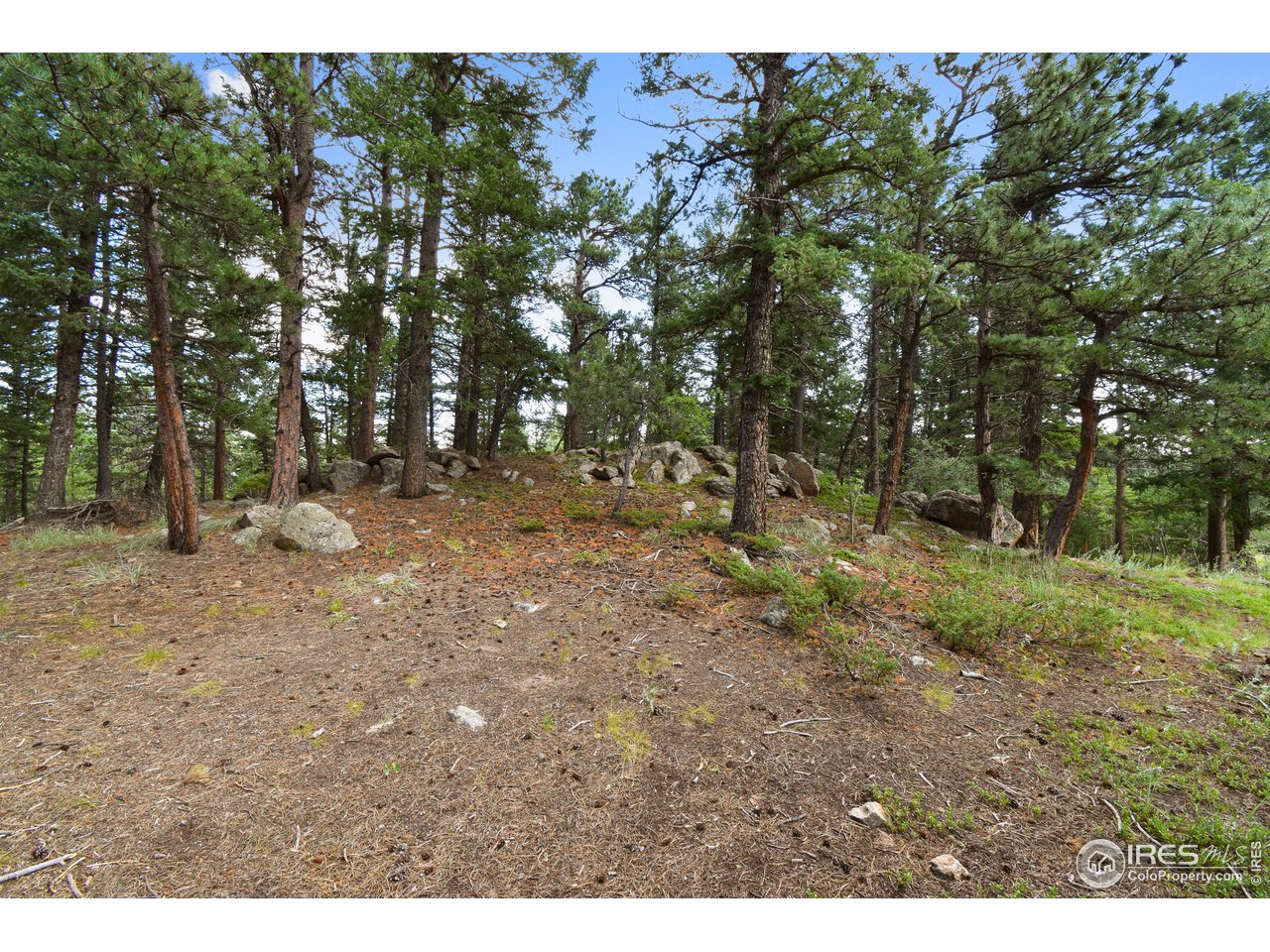 520 Bramer Road Ward, CO 80481 - Photo 13 of 25 Gallery Image 13