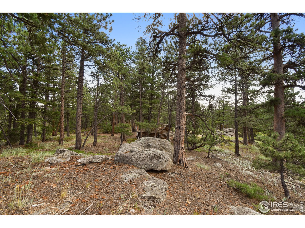 520 Bramer Road Ward, CO 80481 - Photo 14 of 25 Gallery Image 14