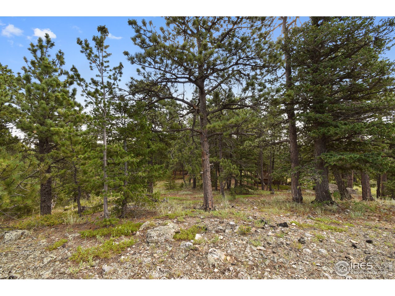 520 Bramer Road Ward, CO 80481 - Photo 15 of 25 Gallery Image 15