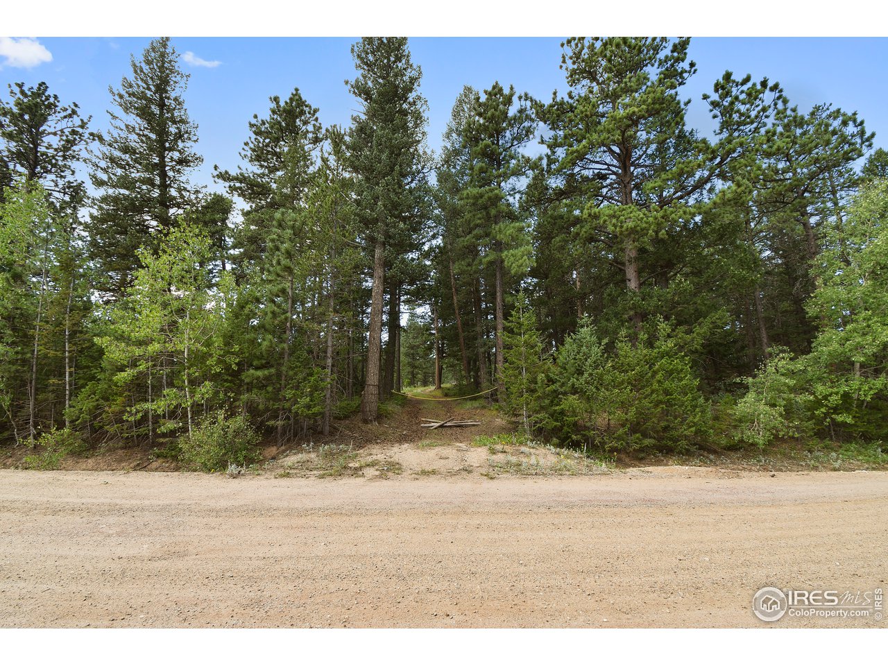 520 Bramer Road Ward, CO 80481 - Photo 2 of 25 Gallery Image 2