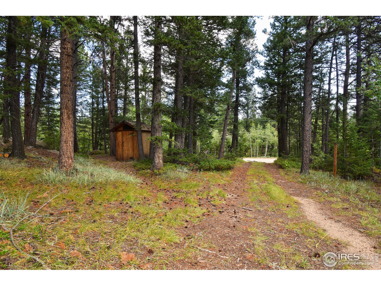 520 Bramer Road Ward, CO 80481 - Photo 4 of 25 Gallery Image 4