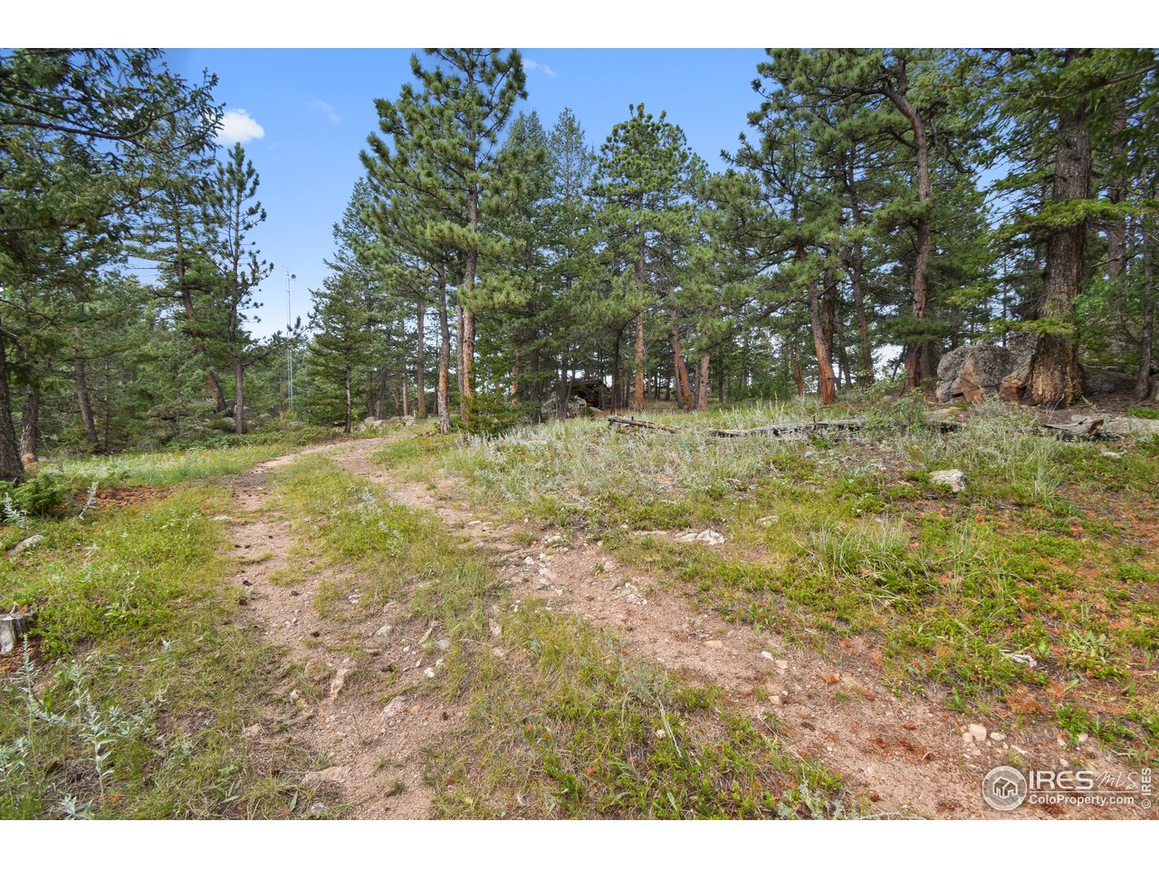 520 Bramer Road Ward, CO 80481 - Photo 7 of 25 Gallery Image 7
