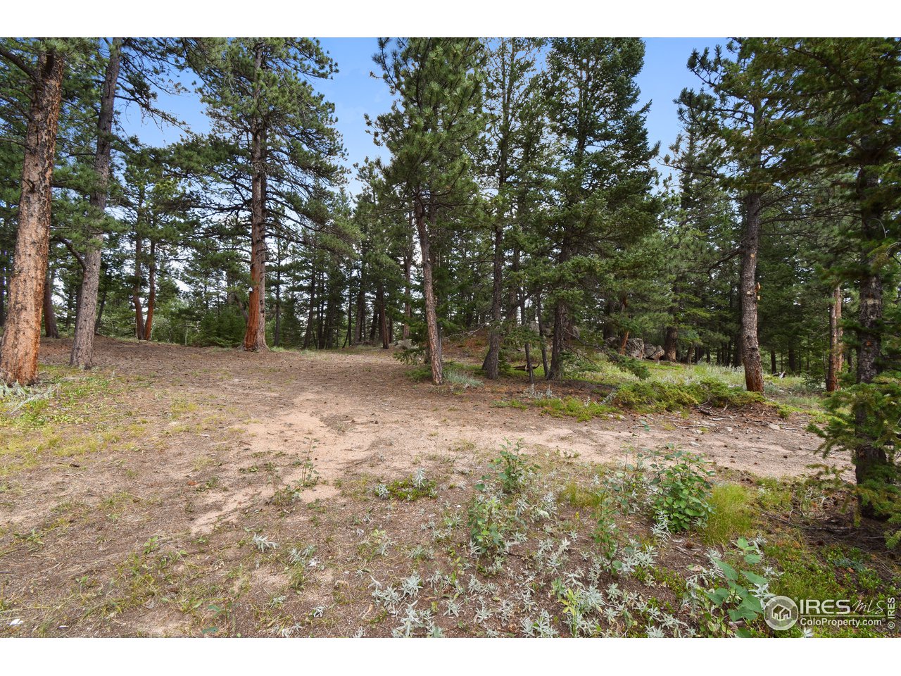 520 Bramer Road Ward, CO 80481 - Photo 8 of 25 Gallery Image 8