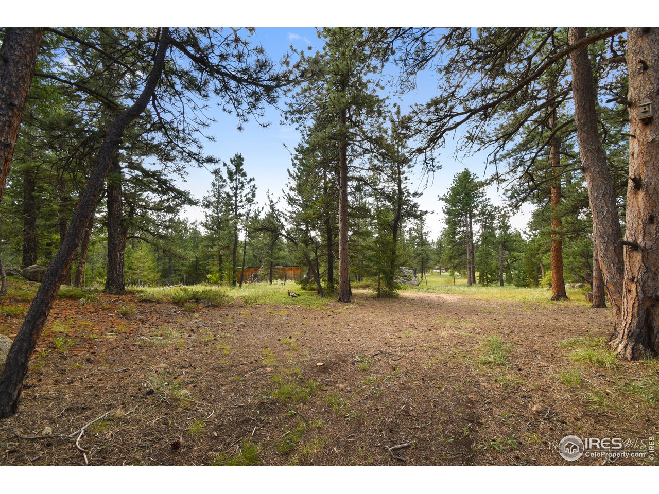520 Bramer Road Ward, CO 80481 - Photo 9 of 25 Gallery Image 9