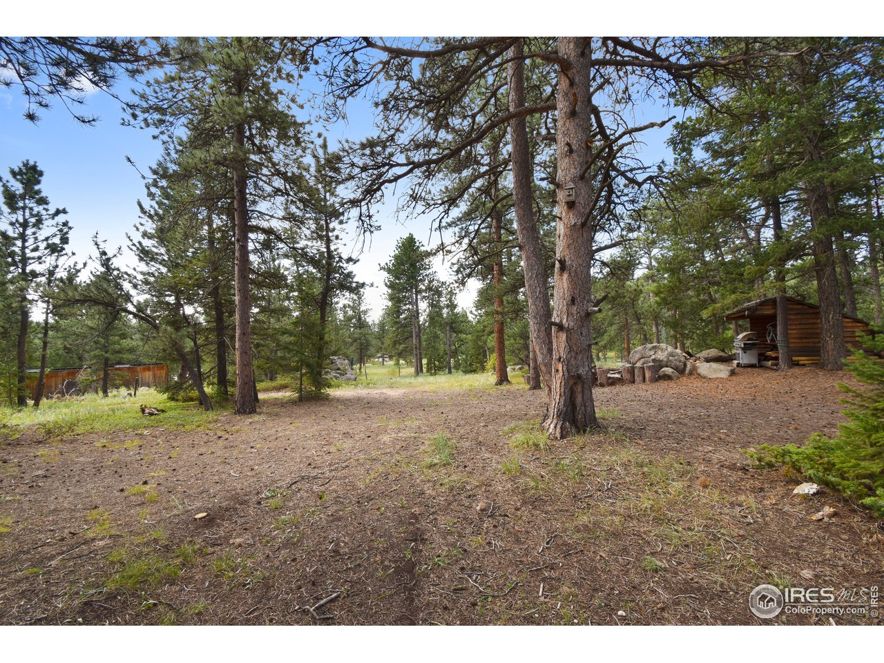 520 Bramer Road Ward, CO 80481 - Photo 10 of 25 Gallery Image 10