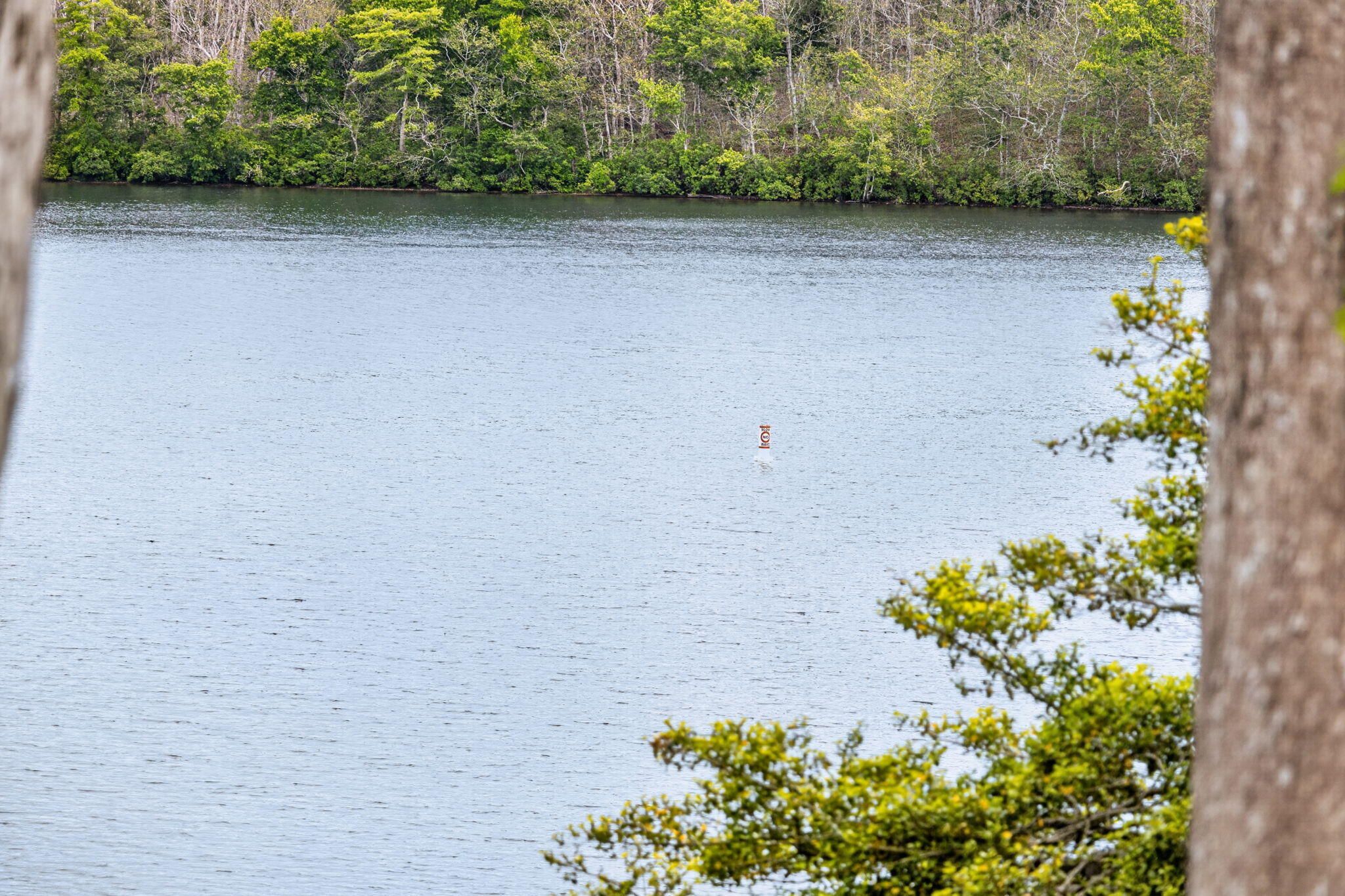 20 Hirsch Road Forestdale, MA 02644 - Photo 25 of 27 32-PF0A2485