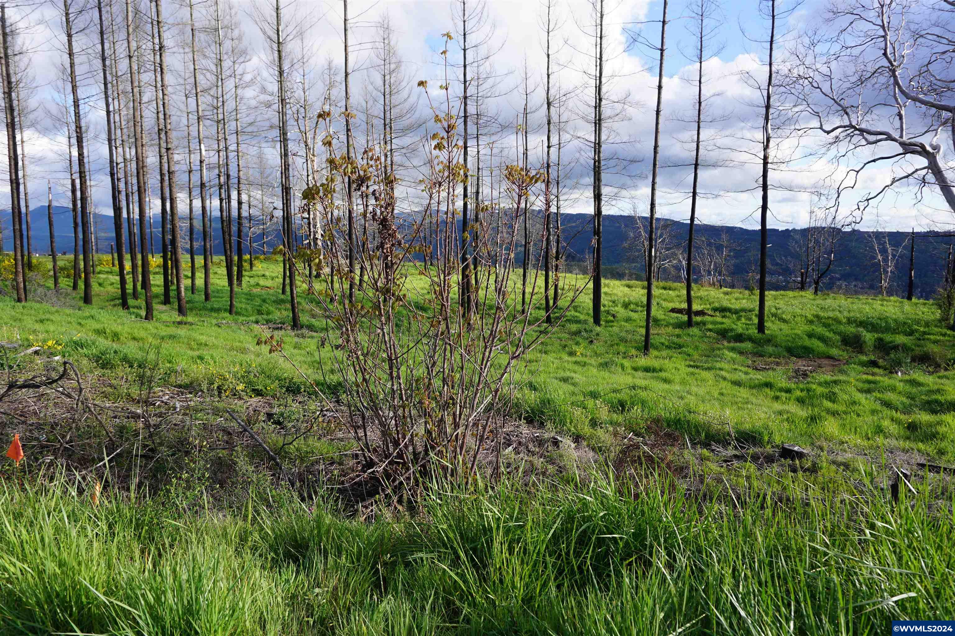 900 Wagner Road Lyons, OR 97358 - Photo 25 of 30