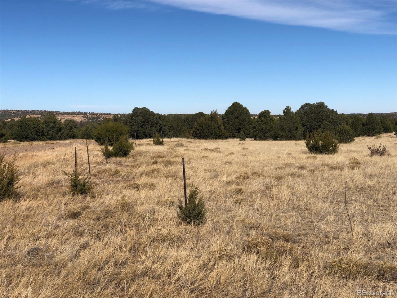 23 River Ridge Ranch Walsenburg, CO 81089 - Photo 11 of 19 a view of lake view and mountain view