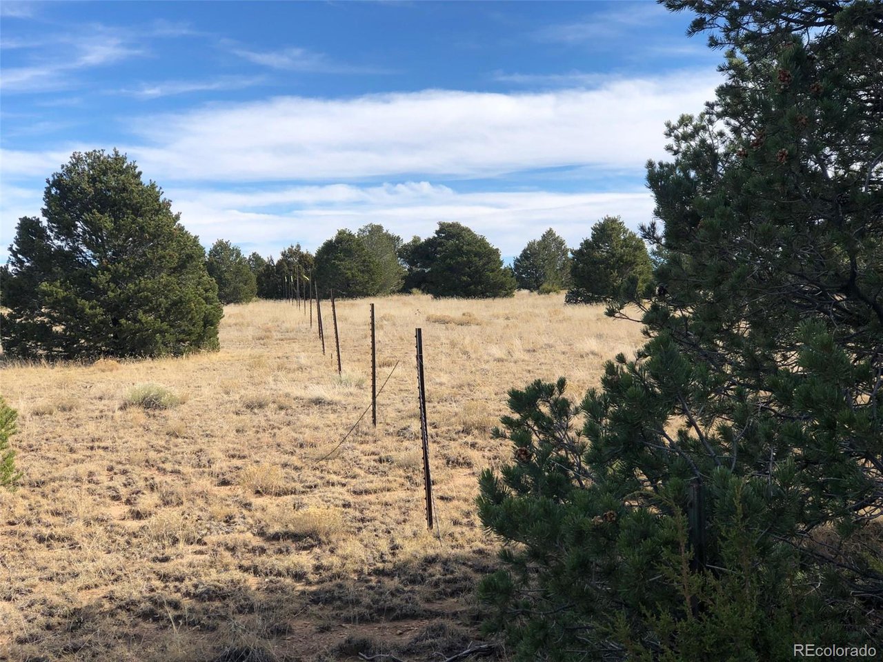 23 River Ridge Ranch Walsenburg, CO 81089 - Photo 12 of 19