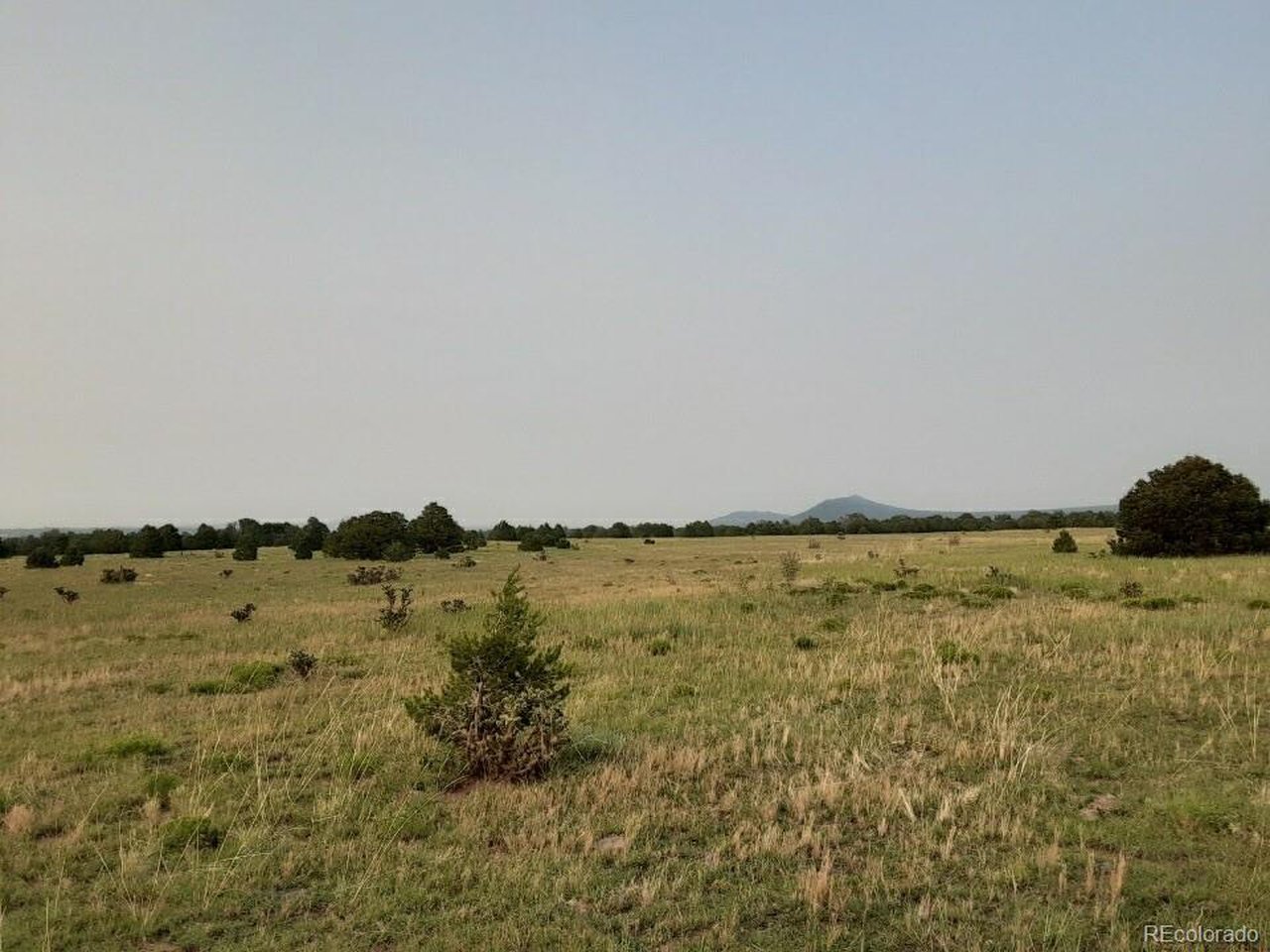 23 River Ridge Ranch Walsenburg, CO 81089 - Photo 13 of 19 a view of ocean view
