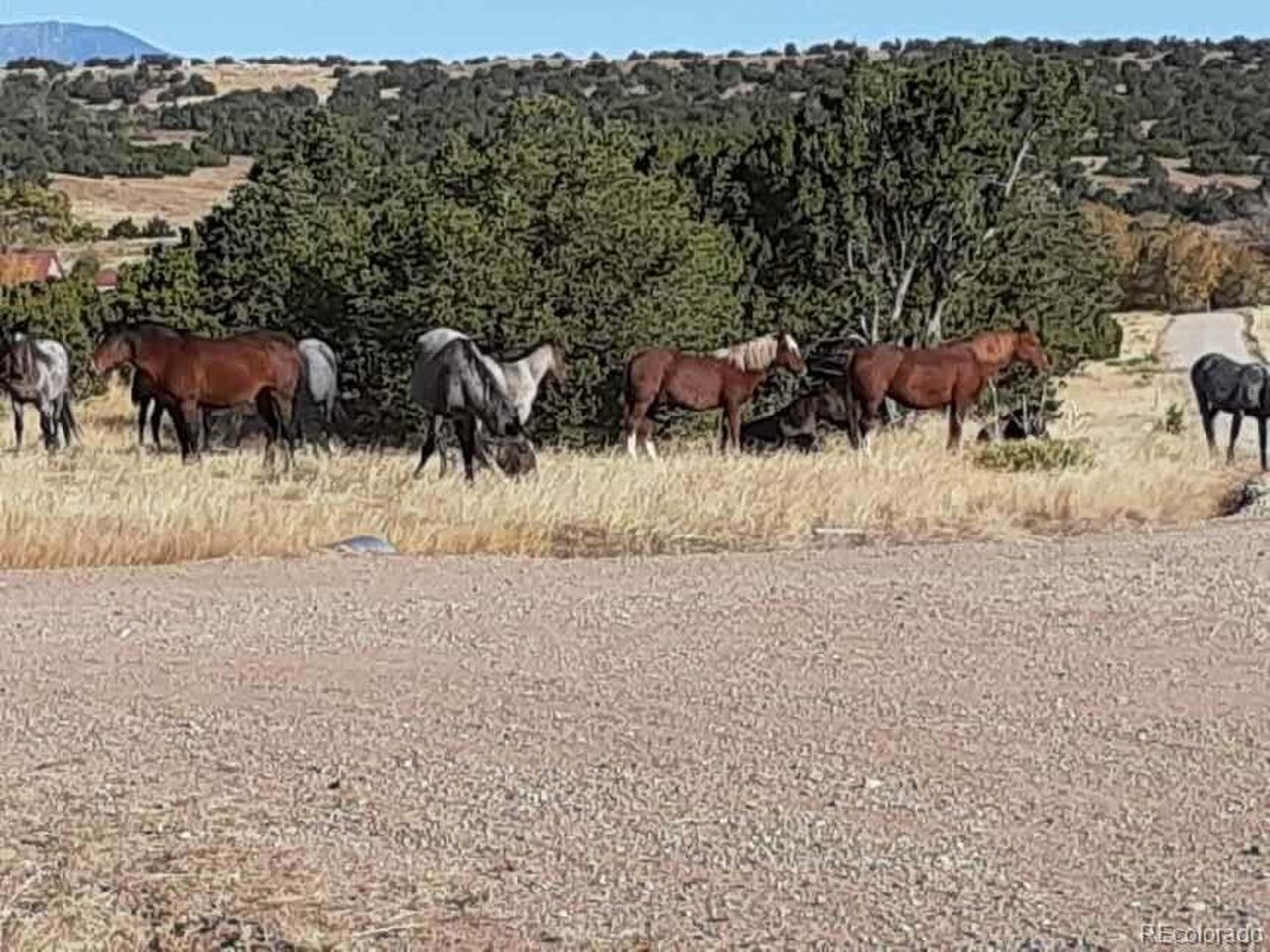 23 River Ridge Ranch Walsenburg, CO 81089 - Photo 18 of 19 an outdoor view with patio