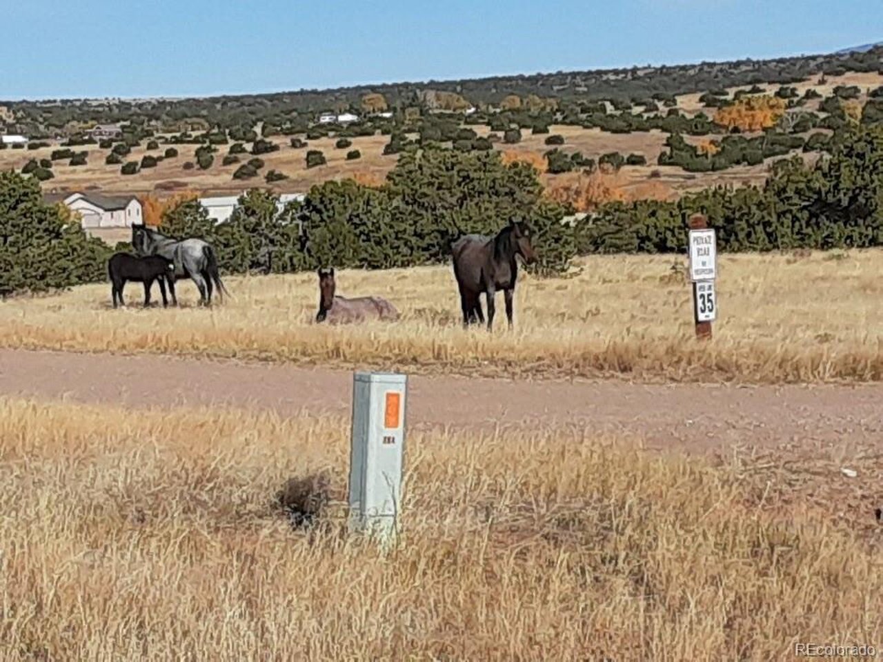 23 River Ridge Ranch Walsenburg, CO 81089 - Photo 19 of 19 a view of a yard and ocean view