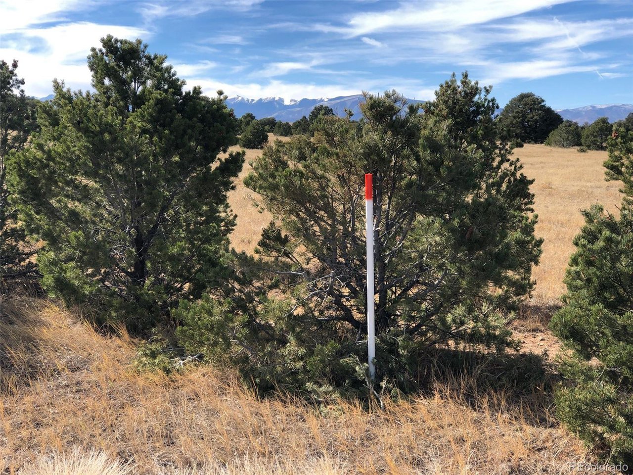 23 River Ridge Ranch Walsenburg, CO 81089 - Photo 2 of 19 a view of a yard with wooden fence