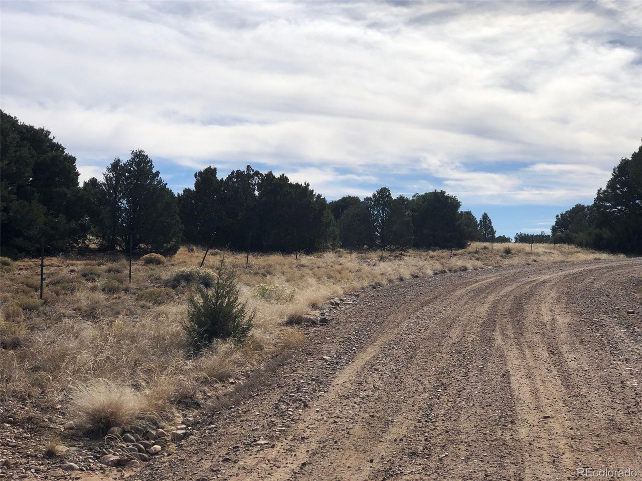 23 River Ridge Ranch Walsenburg, CO 81089 - Photo 4 of 19 a view of a dry yard covered with snow