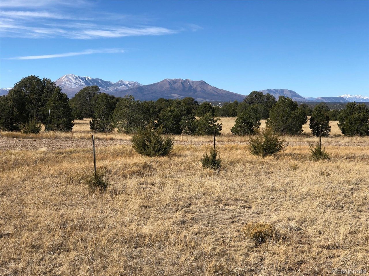 23 River Ridge Ranch Walsenburg, CO 81089 - Photo 10 of 19 a view of a dry yard with mountain