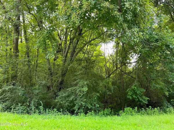 $9,500 | 106 Colony Drive, Edenton, NC 27932