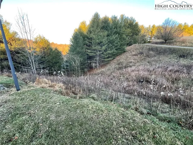a view of a dry yard with trees