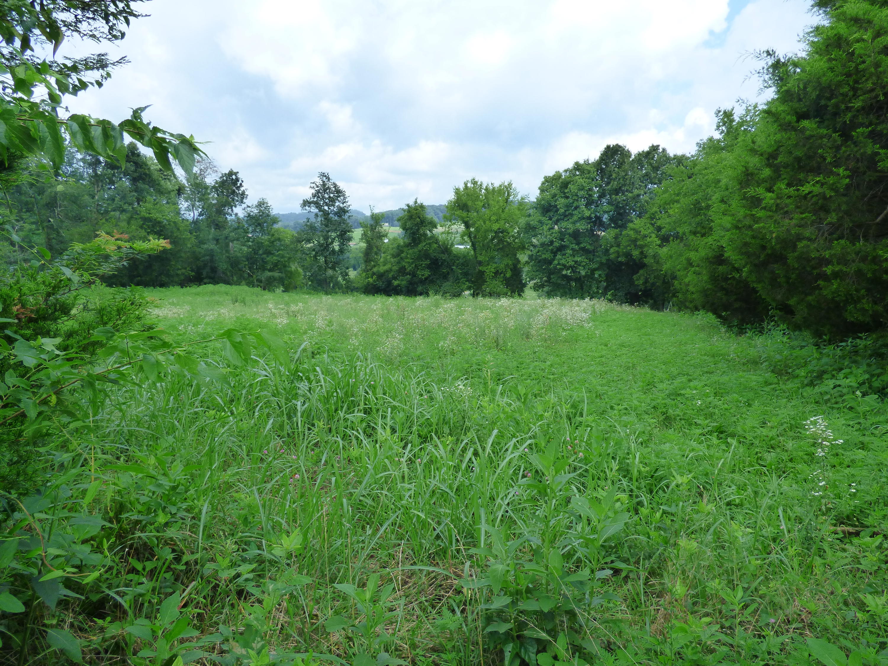 Lost Creek Road New Market, TN 37820 - Photo 1 of 2 P1000499