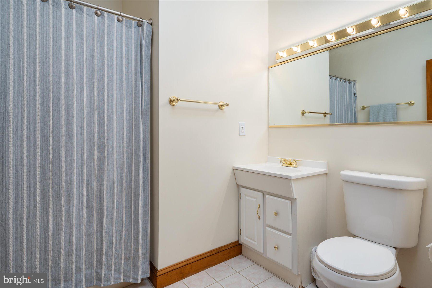 2710 Parkview Drive Riva, MD 21140 - Photo 43 of 60 a bathroom with a sink a toilet a mirror and shower