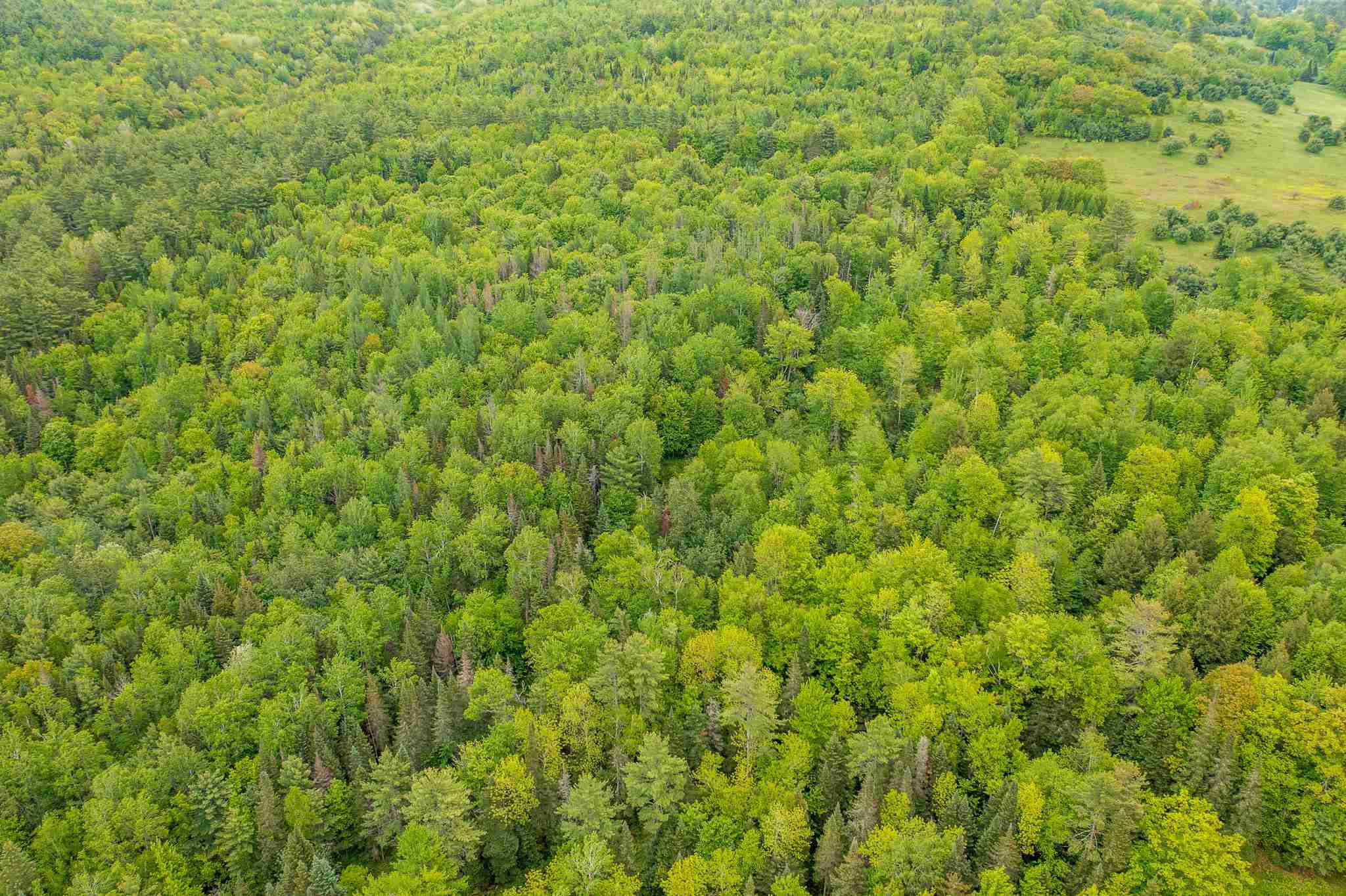 170 Gulf Road Lisbon, NH 03585 - Photo 4 of 15