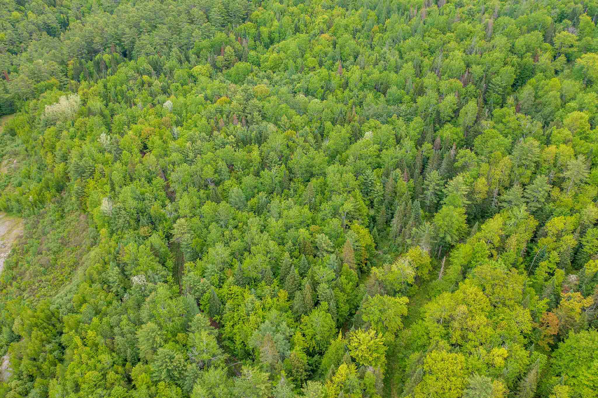 170 Gulf Road Lisbon, NH 03585 - Photo 8 of 15