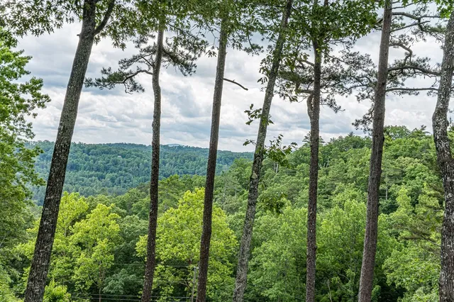 a bedroom with a bed and a fireplace