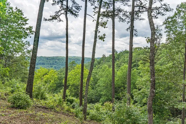 a porch with wooden floor and outdoor space